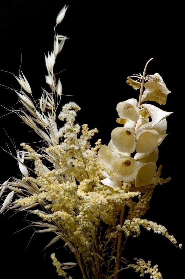 Découvrez l'art des fleurs séchées à nantes